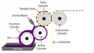 Flexographic Printing Explained [upl. by Nage484]