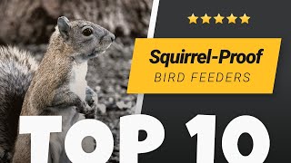 Best Squirrel Proof Bird Feeders [upl. by Hayyikaz]