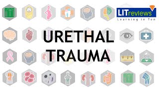 Urethral Trauma [upl. by Kandace]