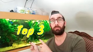 Top 3 GARNALEN in het GEZELSCHAPSAQUARIUM [upl. by Critta]