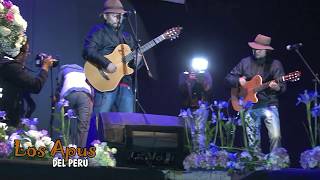 LOS APUS DEL PERÚ ► Mix HUAYNOS  EN CONCIERTO En Vivo ♫ [upl. by Elleinnad]