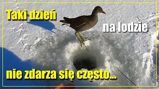 Taki dzień na lodzie nie zdarza się często  W końcu piękna zima jaką lubię  Wędkarstwo podlodowe [upl. by Aissyla]