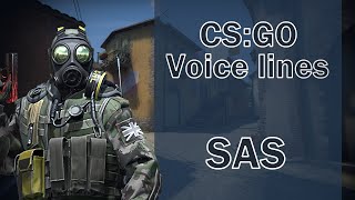 CSGO Agent Voice Lines SAS [upl. by Merv]