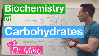 Carbohydrates  Biochemistry [upl. by Pearson60]