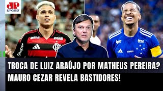 quotO Flamengo SE INTERESSOU e QUIS o Matheus Pereira Mas o que ASSUSTOU foiquot Mauro Cezar FALA TUDO [upl. by Estrellita]