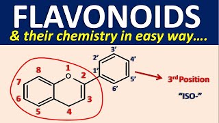 Flavonoids and their chemistry in easy way [upl. by Icken]