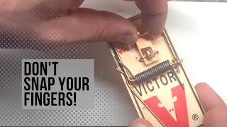 How to Set a Victor Mouse Trap [upl. by Berey839]