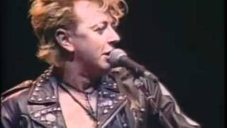 Stray Cats  BeBopALula  Live [upl. by Bollen340]