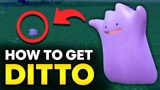 How to get DITTO in Pokemon Scarlet amp Violet [upl. by Chrissa]