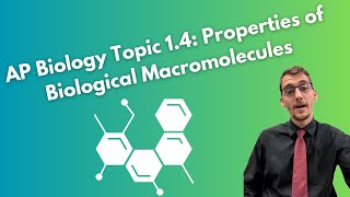 14 Properties of Biological Macromolecules  AP Biology [upl. by Pazia996]