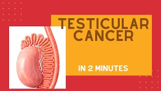 How to treat swollen and painful Testicle Dr Santosh Bethur [upl. by Gael]