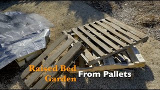 Raised Bed Garden from Pallets [upl. by Lenzi]