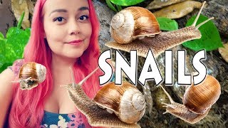 My New Pet Snails amp Daily Care Routine [upl. by Devehcoy]