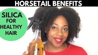 Horsetail for Faster Hair Growth Horsetail Plant TipTuesday [upl. by Shutz861]