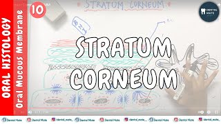 Stratum Corneum  OMM  Dr Paridhi Agrawal [upl. by Gabbi]