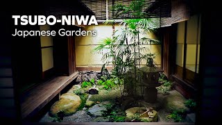 Japanese  Tsuboniwa  Garden [upl. by Fernando]