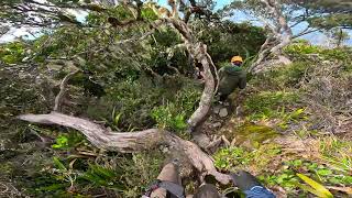 Mount Kinabalu  Via Ferrata LPC 5 Jungle [upl. by Ynnol507]