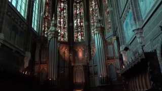 Adema orgel Dominicanenklooster Zwolle [upl. by Oflodur529]