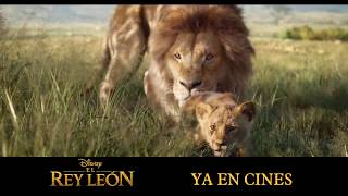 El Rey León 2019  Nº1 en cines  HD [upl. by Atok]