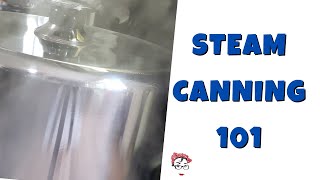 Steam Canning 101 So EXCITING [upl. by Justicz]