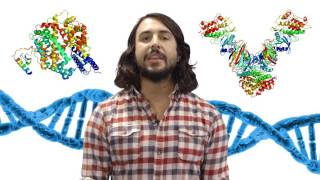 Introduction to Biochemistry [upl. by Ecidna]