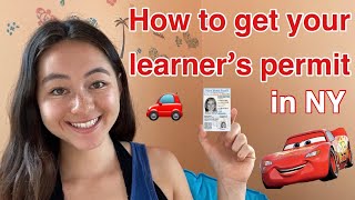 learn to drive HOW TO GET YOUR LEARNERS PERMIT IN NEW YORK  Alexia Kaybee [upl. by Ahsitaf]