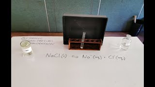 Dynamic Equilibrium Demonstration [upl. by Hach]