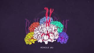 Ronole Jau  Shankuraj Konwar Official Lyric Video [upl. by Eelnodnarb291]