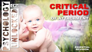 Bowlbys Critical Period of Attachment  a rule for secure attachment  Developmental Psychology [upl. by Leinod]