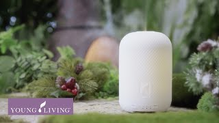 Haven Ceramic Diffuser  Young Living Essential Oils [upl. by Milan706]