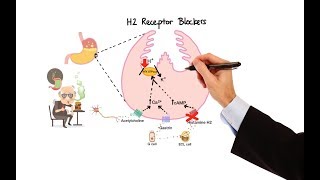 Pharmacology  ANTIHISTAMINES MADE EASY [upl. by Gusella630]