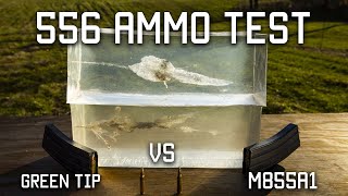 556 Ammo Test  Green Tip VS M855A1  Tactical Rifleman [upl. by Kcorb]