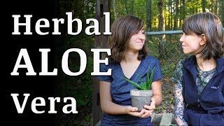 ALOE VERA Plant Medicinal Uses [upl. by Eceinej]