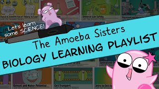 Amoeba Sisters Biology Learning Playlist Introduction [upl. by Jelene]