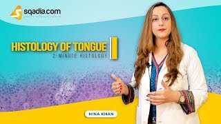 Histology of Tongue  Anatomy Video Lectures  Medical Education  VLearning [upl. by Teddman147]