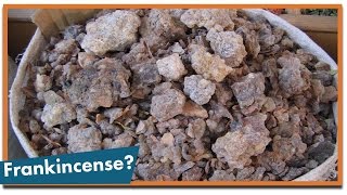 What Are Frankincense and Myrrh [upl. by Volnak]