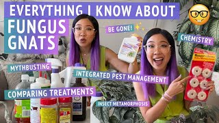 HOW TO PREVENT  GET RID OF FUNGUS GNATS  Plant pest management deep dive– everything I know 🤓 [upl. by Epotimet514]