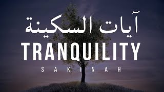 AYAT OF TRANQUILITY  SAKINAH أيات السكينة لدفع الهموم [upl. by Lil274]