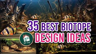 35 Biotope Aquarium Design Ideas [upl. by Ellenej]