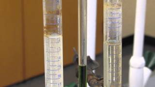 Chemistry Demo Electrolysis of Water [upl. by Bahner481]