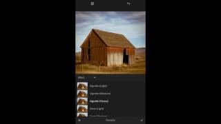 Applying Presets in Lightroom Mobile [upl. by Nnaeinahpets]