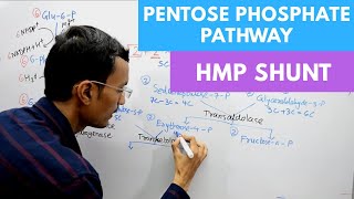 Pentose Phosphate Pathway  Hexose Monophosphate Shunt [upl. by Jueta106]