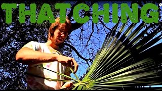 How to Thatch using Cabbage Palms Fronds [upl. by Procto]