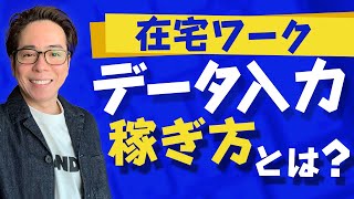 【在宅ワーク】データ入力って稼げるの？徹底解説 [upl. by Malorie]