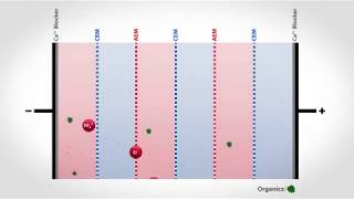 Electrodialysis Reversal to Treat Organic Wastewater  Flex EDR Organix [upl. by Tommy]