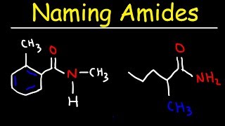 Naming Amides  IUPAC Nomenclature [upl. by Ahseket399]