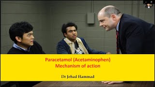 Paracetamol Acetaminophen Mechanism of Action [upl. by Ty]