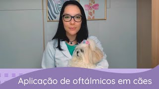 Medicamentos oftálmicos como aplicar no seu cachorro [upl. by Egdamlat]