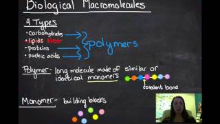 Macromolecules [upl. by Sherwood92]