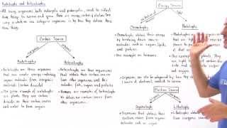 Autotrophs and Heterotrophs [upl. by Bergerac]